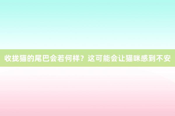 收拢猫的尾巴会若何样？这可能会让猫咪感到不安