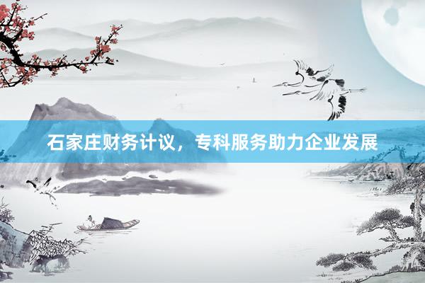 石家庄财务计议，专科服务助力企业发展