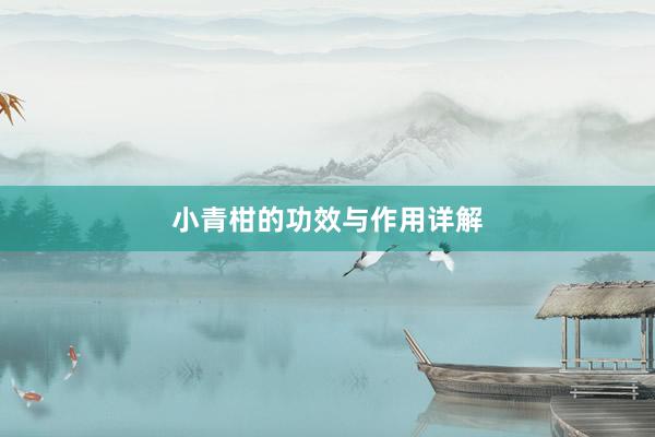 小青柑的功效与作用详解