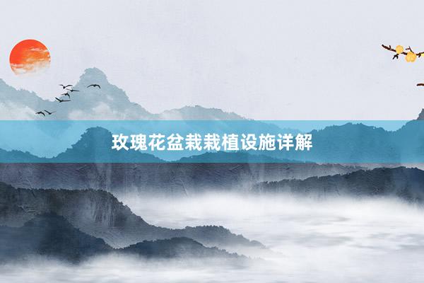 玫瑰花盆栽栽植设施详解